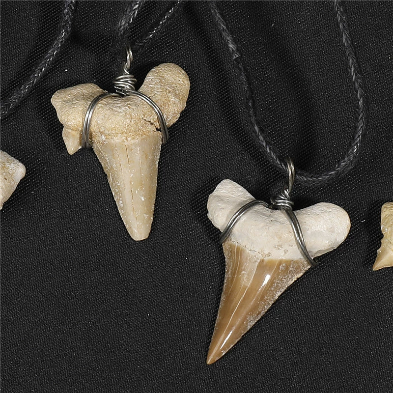 Shark Tooth Fossil Necklace | Moroccan Cuban Pagan Jewelry