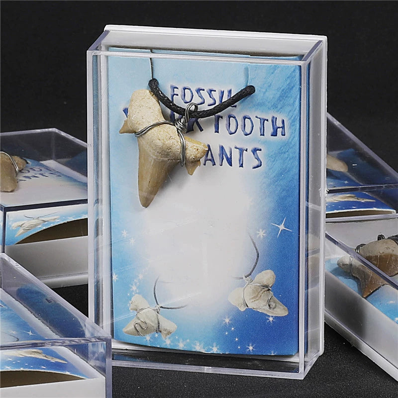 Shark Tooth Fossil Necklace | Moroccan Cuban Pagan Jewelry