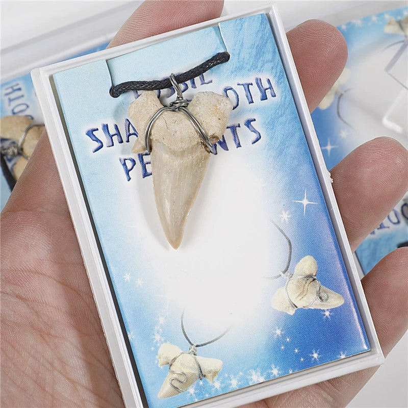 Shark Tooth Fossil Necklace | Moroccan Cuban Pagan Jewelry